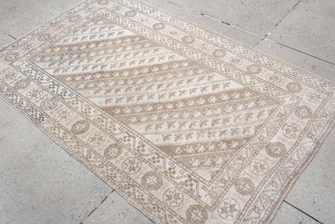 Antique Anatol Area Rug (3' x 6')